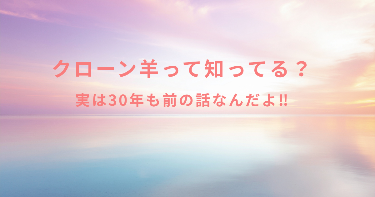 ブログタイトル