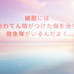 ブログタイトル